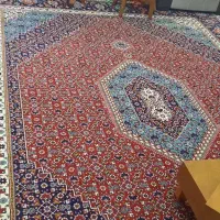 فرش ۱۲ متری در حد نو|فرش|تهران, قصر فیروزه ۲|دیوار
