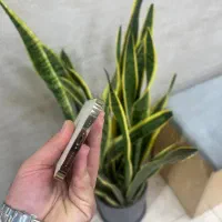 ۱۴ پرو|موبایل|تهران, هوانیروز|دیوار