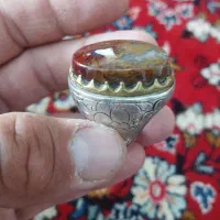 شجر خزه ای رکاب قلم و خاص و بی نظیر 15 ملیون