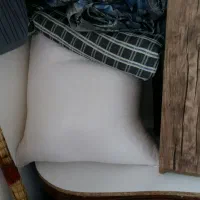 گندم دیم تمیز