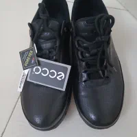 کفش Ecco اصل