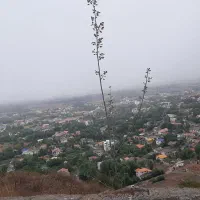 گرکپس ۶۰۰متر سندتکبرگ با ۵۰۰متر جواز ویو ابدی|فروش زمین و ملک کلنگی|کلاردشت, |دیوار