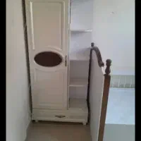 سرویس دومنظوره