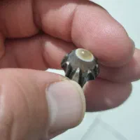 باباقوری کهنه