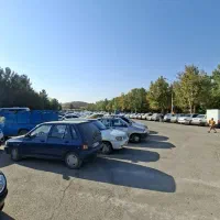 پرستار اقا