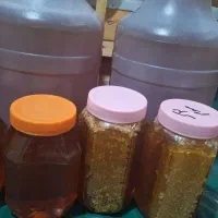 عسل به شرط و تضمینی|خوردنی و آشامیدنی|یاسوج, |دیوار