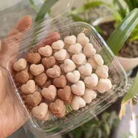 قندهای گیاهی، تزئینی و نبات های دمنوشی|خوردنی و آشامیدنی|تهران, وحیدیه|دیوار