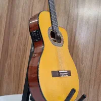 گیتار پیکاپدار تین بادی ادموندو در دو رنگ|گیتار، بیس، امپلیفایر|کرج, کمالشهر|دیوار