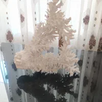 مرجان آکواریوم ماهی