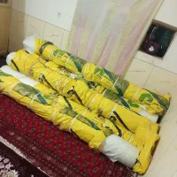 پلاستیک گلخانه پرشین یووی|عمدهفروشی|سراوان, |دیوار