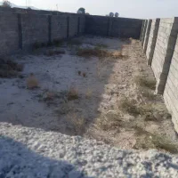 باغ-دور-چینی-شده