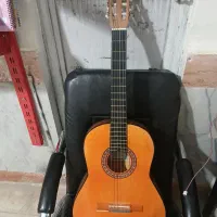 گیتار|گیتار، بیس، امپلیفایر|قوچان, |دیوار