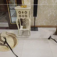 کاور تلویزیون 65اینچ