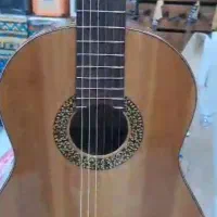 گیتار دست ساز Doris DS+|گیتار، بیس، امپلیفایر|میناب, |دیوار