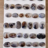 نگین شجر معاوضه با پرنده|جواهرات|قائن, |دیوار