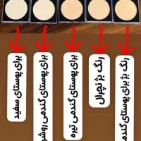 پنکک و رژگونه اصل لاکچری کوین سنندج|آرایشی، بهداشتی، درمانی|سنندج, |دیوار