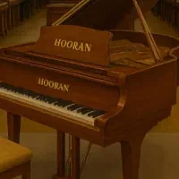 مناسب اموزش اجراموسیقیایی منزل باگارانتی حمل تخصصی