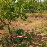 فروش خانه باغ وباغ|فروش خانه و ویلا|جلفا, |دیوار