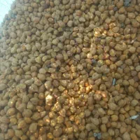 نخودسیاه لپه ای