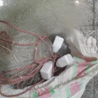 تور ماهی گیری