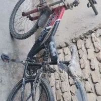 دوچرخه۲۴دوچرخه ۱۲