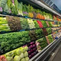 نیازمند ۲ عدد همکار اقا برای میوه فروشی