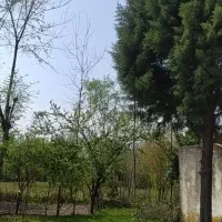 ۲۸۰۰متر زمین در گیلان|فروش زمین و ملک کلنگی|شفت, |دیوار