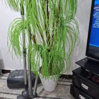 دریچه مصنویی