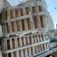 فروش فوری سبد مرغ