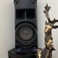 باند سونی دیجی دار مدل MHC-V43D