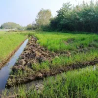 208متر-زمین-مناسب-سرمایه-گذاری-محدوده-خمام