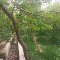 باغ-351متری-چهاردیوار-سندتک-برگ-امکان-ساخت