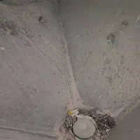 بزر پاش|ماشینآلات صنعتی|رامهرمز, |دیوار