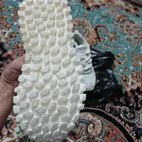 کتونی لژدار|کیف، کفش، کمربند|پرند, فاز ۵|دیوار