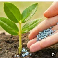 نمایندگی کود های مایع پودری تهران