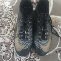 1000000|کیف، کفش، کمربند|رومشکان, |دیوار