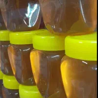 عسل طبیعی اصل