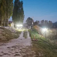 سرایدار کارگر