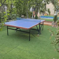 اجاره روزانه ویلا استخر آبگرم لاکچری خوشنام|اجارهٔ کوتاه‌مدت ویلا و باغ|فردیس, شهرک ناز|دیوار