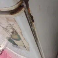 یخچال بدونه برفک|یخچال و فریزر|بندر امام خمینی, |دیوار