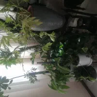 گل و گلدان