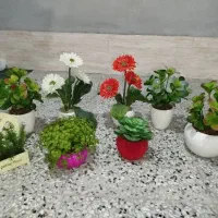 گل های تزیینی