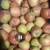 سیب داخل سبدمخصوص اسلایس آبگیری خشک و...