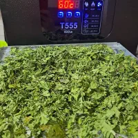 دستگاه میوه خشک کن|سایر لوازم برقی|آستارا, |دیوار