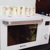 مایکروویو اسنوا