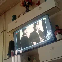 تلوزیون