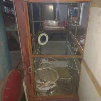 قفس پرند مرغ  کبوتر  عروس هلندی طوطی کاسکو مرغ عشق|لوازم جانبی حیوانات|تهران, بهار|دیوار