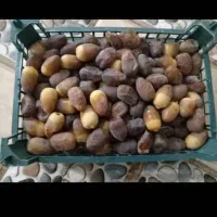 رطب ، خرما درجه یک دست چین|خوردنی و آشامیدنی|تهران, شکوفه (عبدل آباد)|دیوار