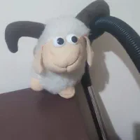 عروسک|اسباب‌بازی بچه|ماهدشت, |دیوار