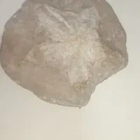 فسیل|کلکسیون اشیاء عتیقه|سراب, |دیوار